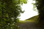 Der Klimapfad mündet in den Meerauwald und zu den Waldhängematten Klimapfad