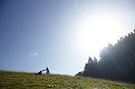 ganz früh morgens beginnt Klaus Hauber mit der Heuernte. Er mäht die feinen Kräuter und Gräser mit dem Motomäher. Heuernte