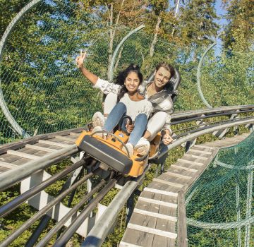 Alpsee Coaster in Immenstadt