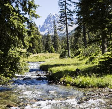 Erlebe die Natur bei Deinem Aufenthalt im Explorer Hotel