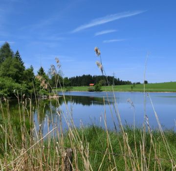 Grüntensee in Nesselwang