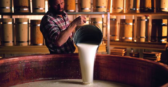 Wie aus Heumilch hochwertige LEBENSmittel entstehen