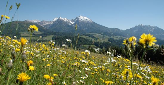 Blick vom Wurbauerkogel in Windischgarsten auf die Haller Mauern