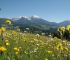 Erlebe in Deinem Urlaub in Hinterstoder in Oberösterreich ein echtes Sommerparadies! Blick vom Wurbauerkogel in Windischgarsten auf die Haller Mauern