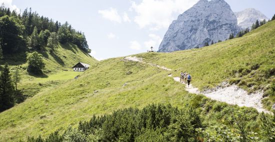 Wanderung in Richtung Halsalm vor dem Hohen Gerstfeld