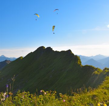 Gleitschirmflieger Zeigersattel
