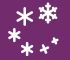 Veranstaltungen Icons Schneeflocke