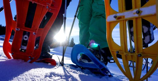 Schneeschuhe