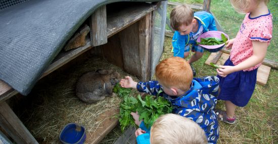 Besuch auf einem Allgäuer Bauernhof im Florianprogramm
