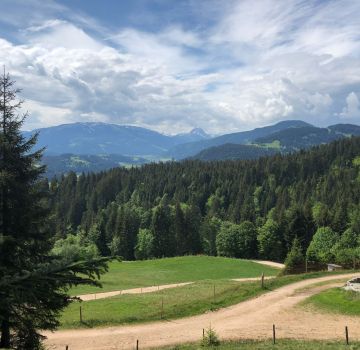 Wilder Kaiser - Schleierwasserfälle Nadine 10.05.18 (5)
