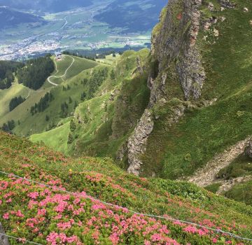 Kitzbüheler Horn