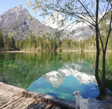 Schiederweiher bei Hinterstoder mit Hündin Lea
