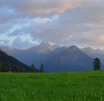 Allgäuer Alpen im Abendlicht