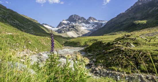 Der Piz Buin