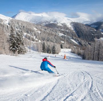 Auf Skiern durch die Winterlandschaft