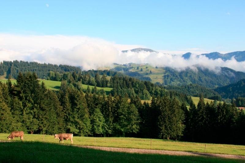 Fastenwandern im Allgäu Landschaft bei Fastenwanderung im Allgäu