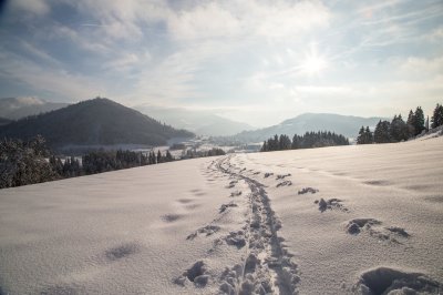 Winter Klimapfad