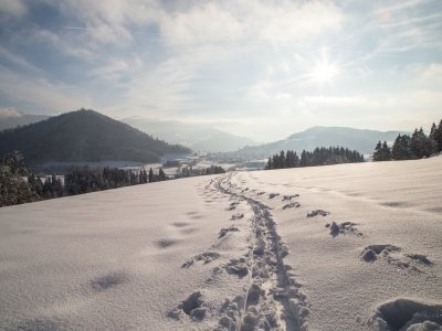 Winter Klimapfad