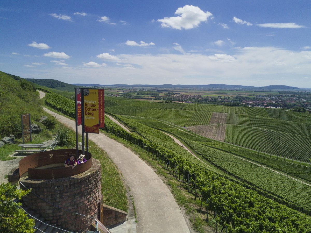 Weinentdeckerrunde Iphofen - Wandern im Weinland Franken