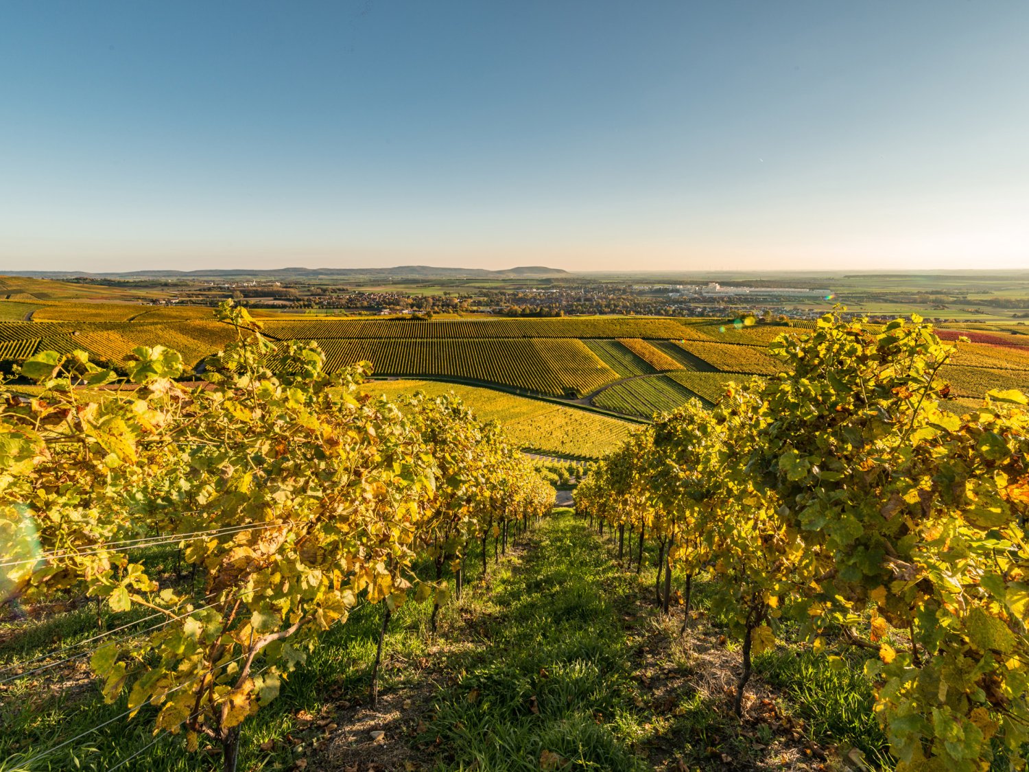 Wandern Durch Wald Und Weinberge In Iphofen