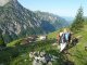 3. Tag - Abstieg über die Ischkarneialpe ins Große Walsertal