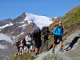 5. Tag - Beim Aufstieg zum Pitztaler Jöchl (2.988 m) genießen wir den Ausblick auf die Pitztaler Gletscher