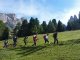 2. Tag - Der zweite Tag zur Haniker Schwaige (1.904 m) beginnt mit sanftem Anstieg über grüne Bergwiesen