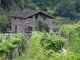 Durch die Weingärten von Faver wandern wir auf dem Albrecht-Dürer-Weg nach Piazzo