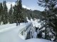 2. Tag - Die tief verschneite Verbindungsstraße zwischen Warth und Lech ist nur mit Schneeschuhen zu passieren
