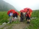 2. Tag - Beim Aufstieg von der Alpe Rauz zur Ulmer Hütte schützen uns unsere Bergschirme vor einem kurzen Regenschauer