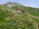 Der Abstieg ins Krimmler Achental führt durch blühende Bergwiesen