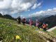 Traumhaft blühende Bergwiesen kurz vor der Fiderpasshütte, im Hintergrund das Nebelhorn