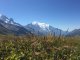 Tour du Mont Blanc 7. Tag - Blick vom Col de Balme auf den Mont Blanc