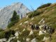 4. Tag - Aufstieg zum Passo Cercen (3.022 m)